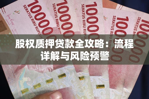 济南股权质押贷款全攻略：流程详解与风险预警