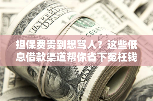 济南担保费贵到想骂人？这些低息借款渠道帮你省下冤枉钱