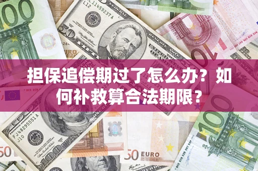 济南担保追偿期过了怎么办？如何补救算合法期限？