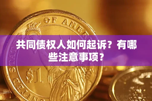 济南共同债权人如何起诉？有哪些注意事项？